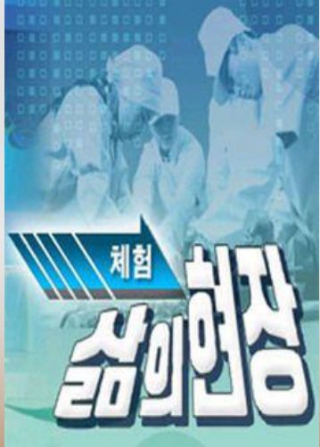 체험 삶의 현장